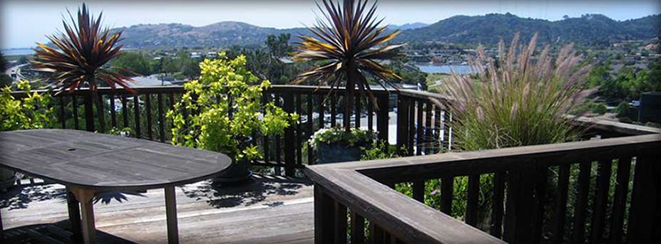 View from new deck in back